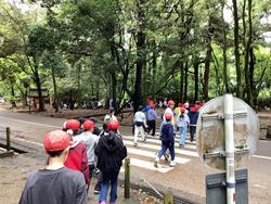 IMG_2318.jpeg
