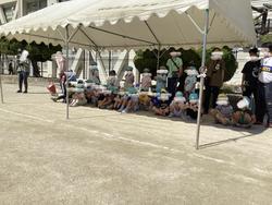 IMG_2475.jpeg