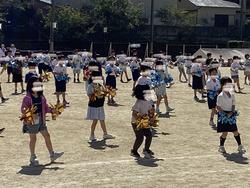 IMG_2480.jpeg