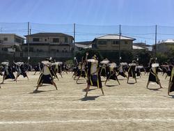 IMG_2492.jpeg