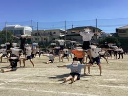 IMG_2527.jpeg