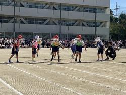 IMG_2555.jpeg