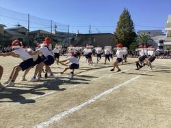 IMG_2585.jpeg