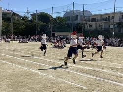 IMG_2599.jpeg