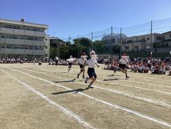 IMG_2602.jpeg