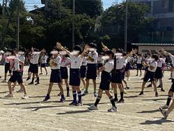 IMG_2607.jpeg