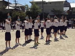IMG_2617.jpeg
