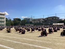 IMG_2678.jpeg