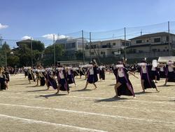 IMG_2683.jpeg