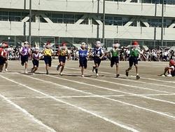 IMG_2697.jpeg