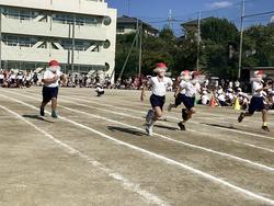 IMG_2746.jpeg