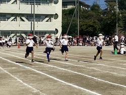 IMG_2749.jpeg