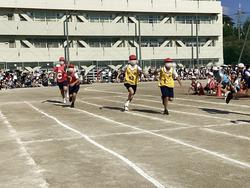 IMG_2791.jpeg
