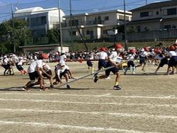IMG_2852.jpeg