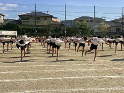 IMG_2875.jpeg