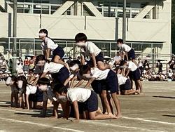 IMG_2893.jpeg