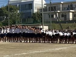 IMG_2896.jpeg