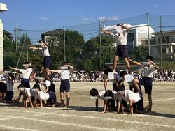 IMG_2925.jpeg
