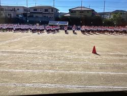 IMG_2965.jpeg