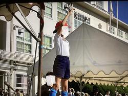 IMG_2972.jpeg
