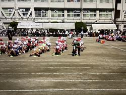 IMG_2985.jpeg