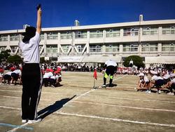 IMG_2987.jpeg