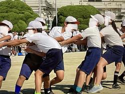 IMG_2988.jpeg