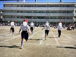 IMG_2990.jpeg