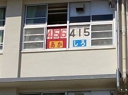 IMG_3017.jpeg