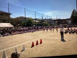 IMG_3020.jpeg