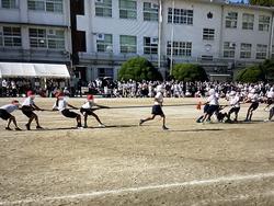 IMG_3045.jpeg