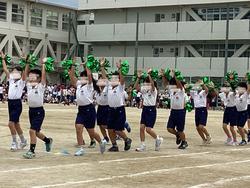 IMG_3360.jpeg