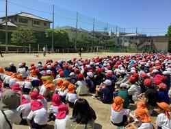IMG_6855.jpeg