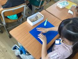 IMG_6884.jpeg