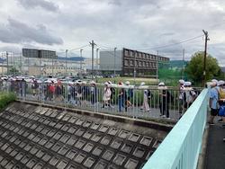 IMG_6939.jpeg