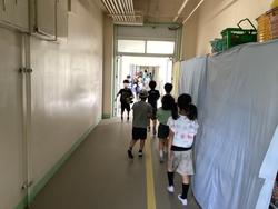 IMG_6983.jpeg