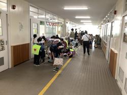 IMG_6987.jpeg