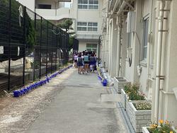 IMG_6990.jpeg