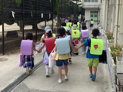 IMG_6991.jpeg