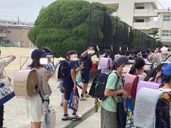 IMG_6992.jpeg