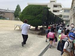 IMG_6993.jpeg