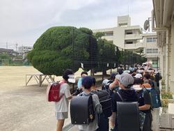 IMG_6997.jpeg