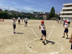 IMG_7017.jpeg