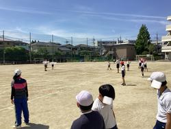 IMG_7024.jpeg