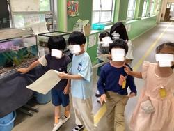 IMG_7117.jpeg