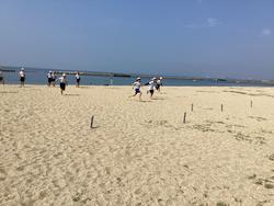 IMG_7518.jpeg