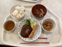 IMG_7544.jpeg