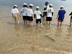 IMG_7642.jpeg