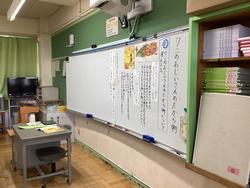 IMG_7688.jpeg