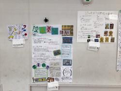 IMG_7901.jpeg